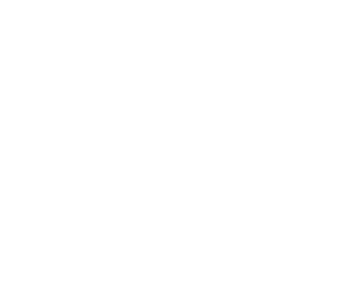 DigitalBiel